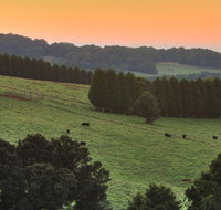 Robertson - Accommodation Sunshine Coast