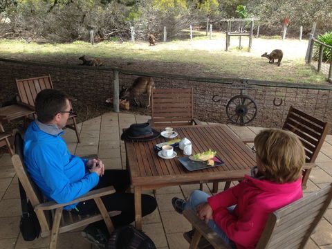 Rustic Blue Gallery Cafe Day Spa - Accommodation Sunshine Coast 2