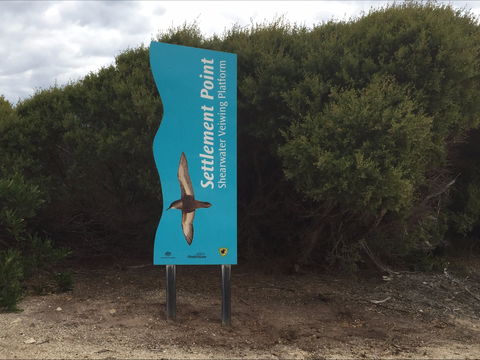 Settlement Point Viewing Platform - Accommodation Sunshine Coast 2