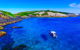 Snorkelling Montague Island - thumb 0