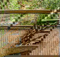 Somersby Falls walking track - Accommodation Sunshine Coast