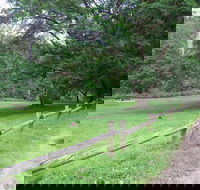 St Albans Reserve - Accommodation Sunshine Coast