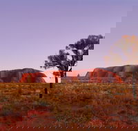 Sunrise Viewing Area Talinguru Nyakunytjaku - Accommodation Sunshine Coast