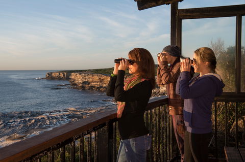 Sutherland Shire - Accommodation Sunshine Coast 0