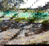 Tactical Paintball Games - Accommodation Sunshine Coast