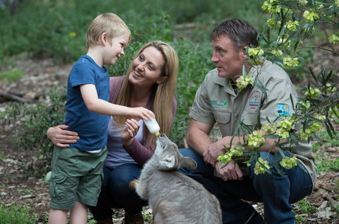 Tamworth Marsupial Park And Adventure Playground - Accommodation Sunshine Coast 0