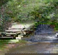 The Pioneer Valley and Eungella National Park - Accommodation Sunshine Coast
