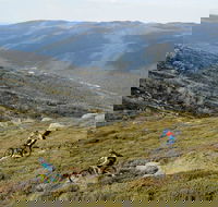Thredbo Mountain Biking - Accommodation Sunshine Coast