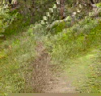 Three Views walking track - Accommodation Sunshine Coast