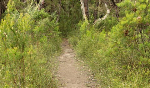 Three Views Walking Track - Accommodation Sunshine Coast 0