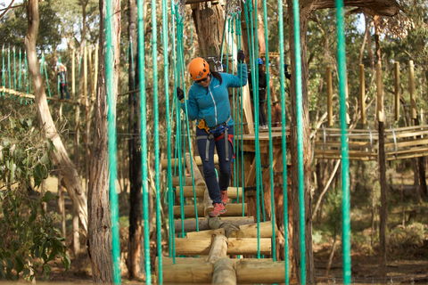 Trees Adventure Yeodene Park - Accommodation Sunshine Coast 0