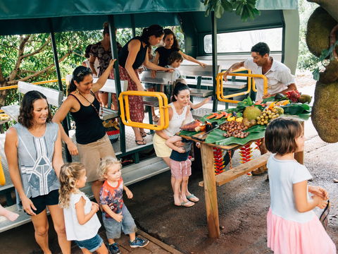 Tropical Fruit World - Accommodation Sunshine Coast 2