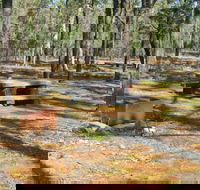 Two Dams picnic area - Accommodation Sunshine Coast