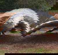 Underwater Marine Sculptures - Accommodation Sunshine Coast