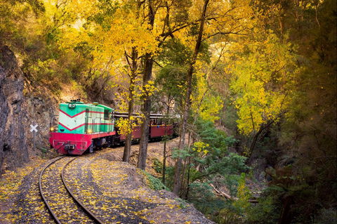 Walhalla Goldfields Railway - Accommodation Sunshine Coast 2