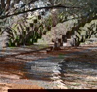 Warrego Floodplain walking track - Accommodation Sunshine Coast