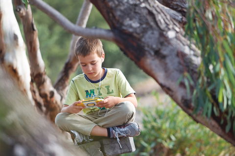 Westgate Park - Accommodation Sunshine Coast 1