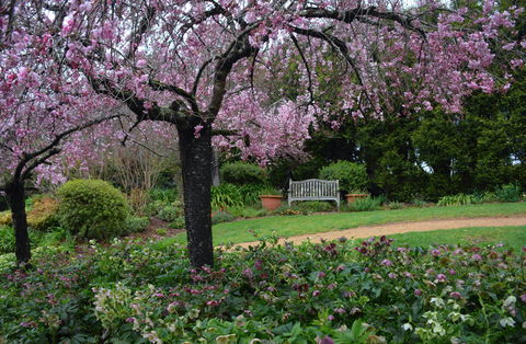 Wildwood Garden - Accommodation Sunshine Coast 2