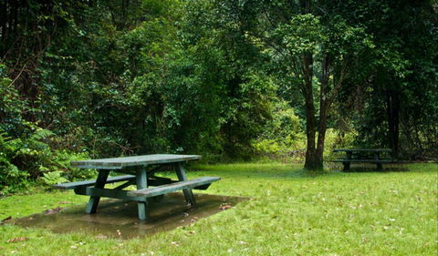 Williams River Picnic Area - Accommodation Sunshine Coast 0