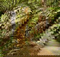 William Ricketts Sanctuary - Accommodation Sunshine Coast