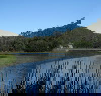 Yalwal - Accommodation Sunshine Coast
