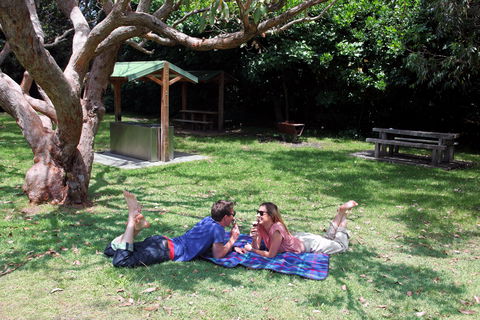 Abrahams Bosom Reserve - Accommodation Sunshine Coast 1