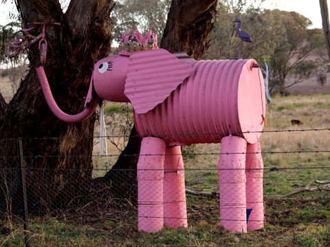 Animals On Bikes - Accommodation Sunshine Coast 0