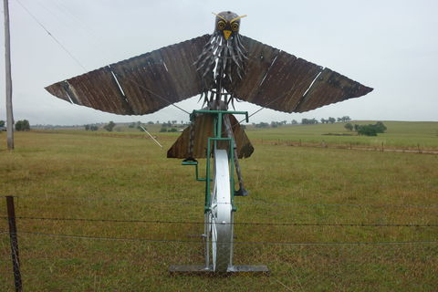 Animals On Bikes - Accommodation Sunshine Coast 2