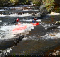Barrington River - Accommodation Sunshine Coast