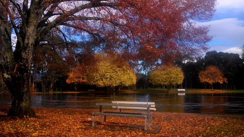 Bells Parade Reserve - Accommodation Sunshine Coast 0