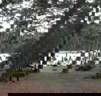 Big Brook Arboretum - Accommodation Sunshine Coast