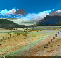 Blackwood River Tourist Drive - Accommodation Sunshine Coast