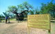Boab Prison Tree - thumb 0