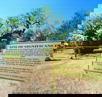 Boab Prison Tree - Accommodation Sunshine Coast