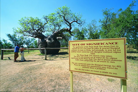 Boab Prison Tree - Accommodation Sunshine Coast 0
