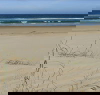 Bongil Beach - Accommodation Sunshine Coast