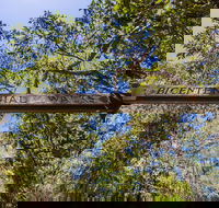 Bribie Island Bicentennial Trails - Accommodation Sunshine Coast