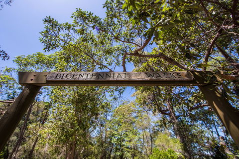 Bribie Island Bicentennial Trails - Accommodation Sunshine Coast 0