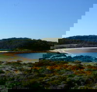 Broulee Island Nature Reserve Walk - Accommodation Sunshine Coast