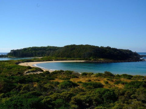 Broulee Island Nature Reserve Walk - Accommodation Sunshine Coast 0