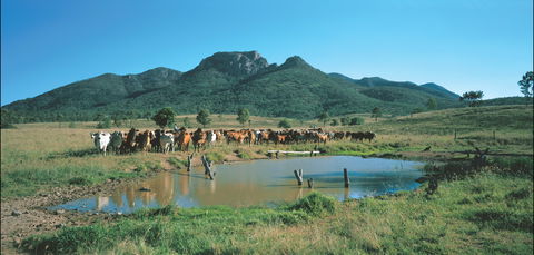 Bundaberg- Biggenden- Mount Perry Circle - Accommodation Sunshine Coast 0