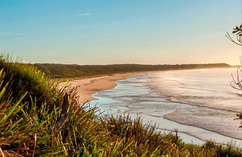 Burrawang Track - Conjola Beach To Buckleys Point - Accommodation Sunshine Coast 0