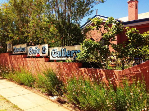 Cactus Cafe And Gallery - Accommodation Sunshine Coast 0