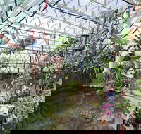 Cairns ZOOM and Wildlife Dome - Accommodation Sunshine Coast
