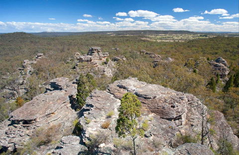 Castle Rocks Walk - Accommodation Sunshine Coast 0