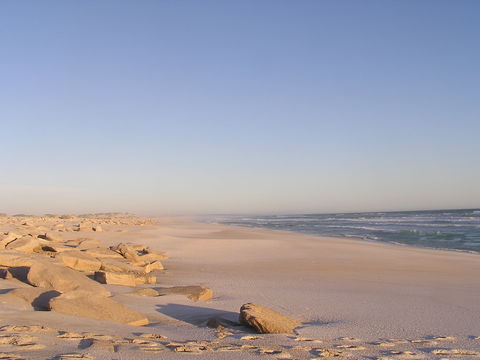 Chadinga Conservation Park - Accommodation Sunshine Coast 0