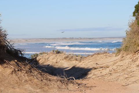 Chadinga Conservation Park - Accommodation Sunshine Coast 1