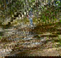Cliff Face track - Accommodation Sunshine Coast