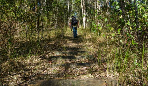 Cliff Face Track - Accommodation Sunshine Coast 0