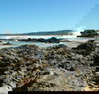 Coastal Walks - Bermagui - Accommodation Sunshine Coast